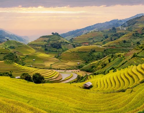 Essence of Northern Vietnam